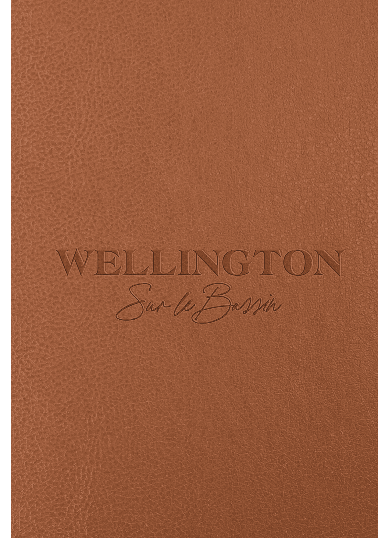 Brown leather texture as background